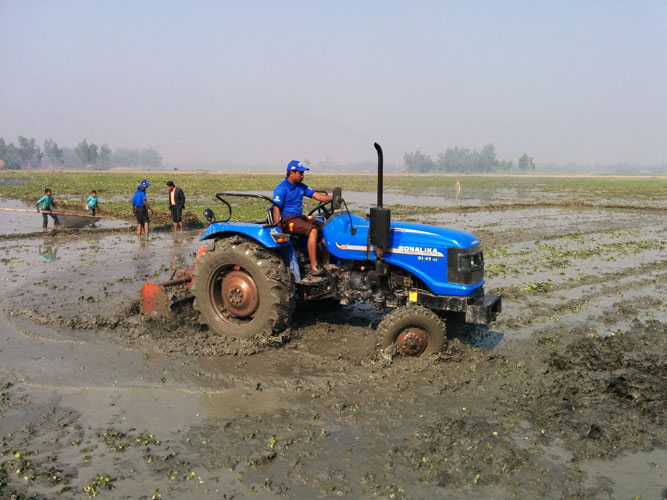 Free Cultivation Program, Bogra