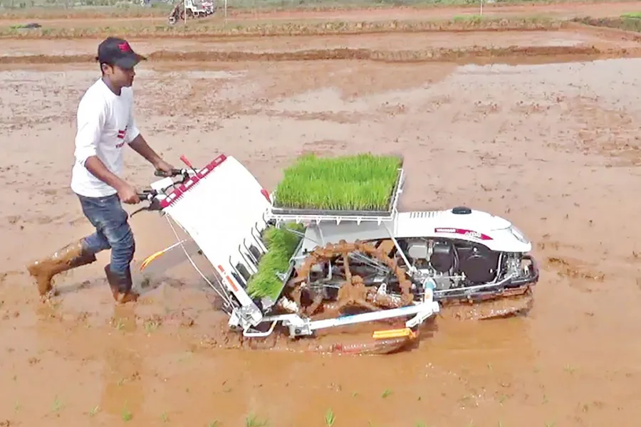 Use of transplanter can give a leg-up to farm mechanisation